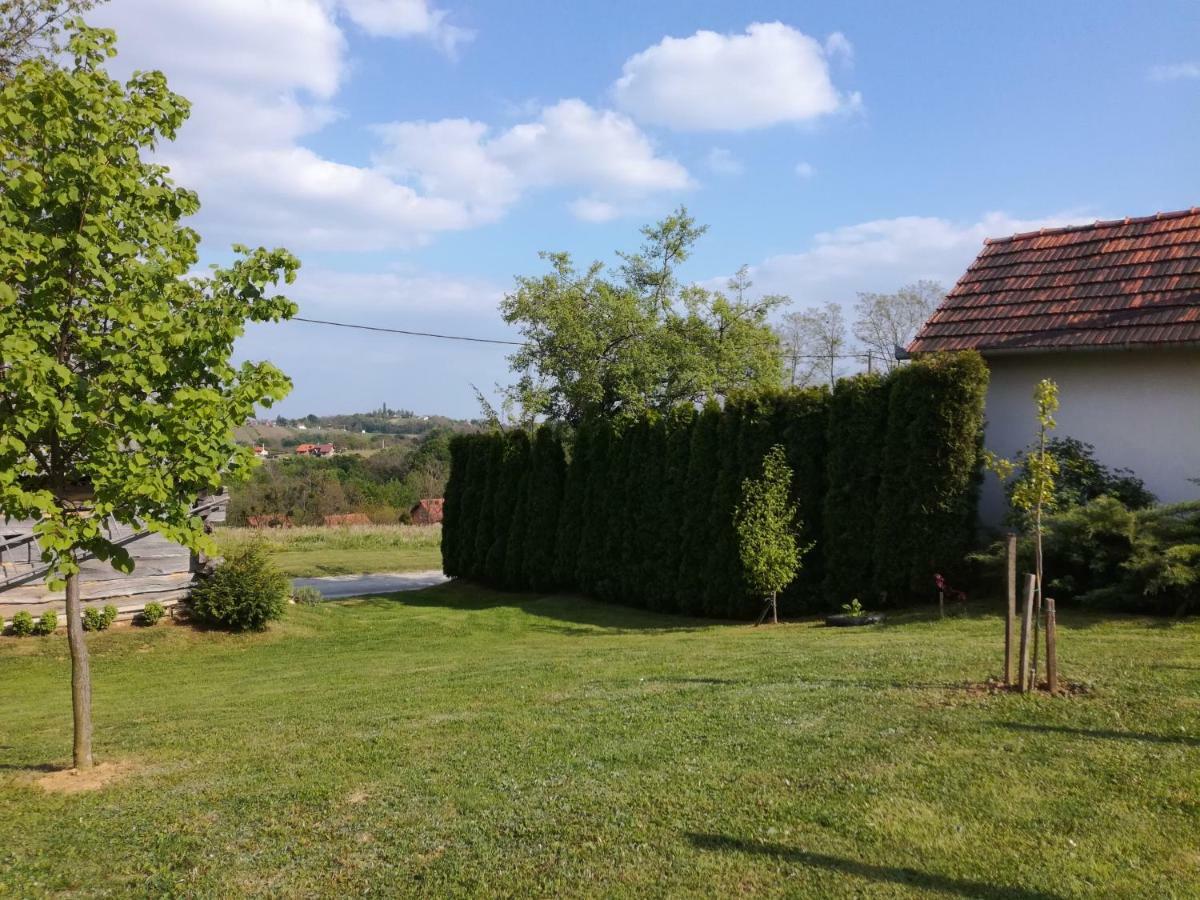 Kuca Za Odmor ,,Oletic 2" Villa Sveti Martin Na Muri Eksteriør billede